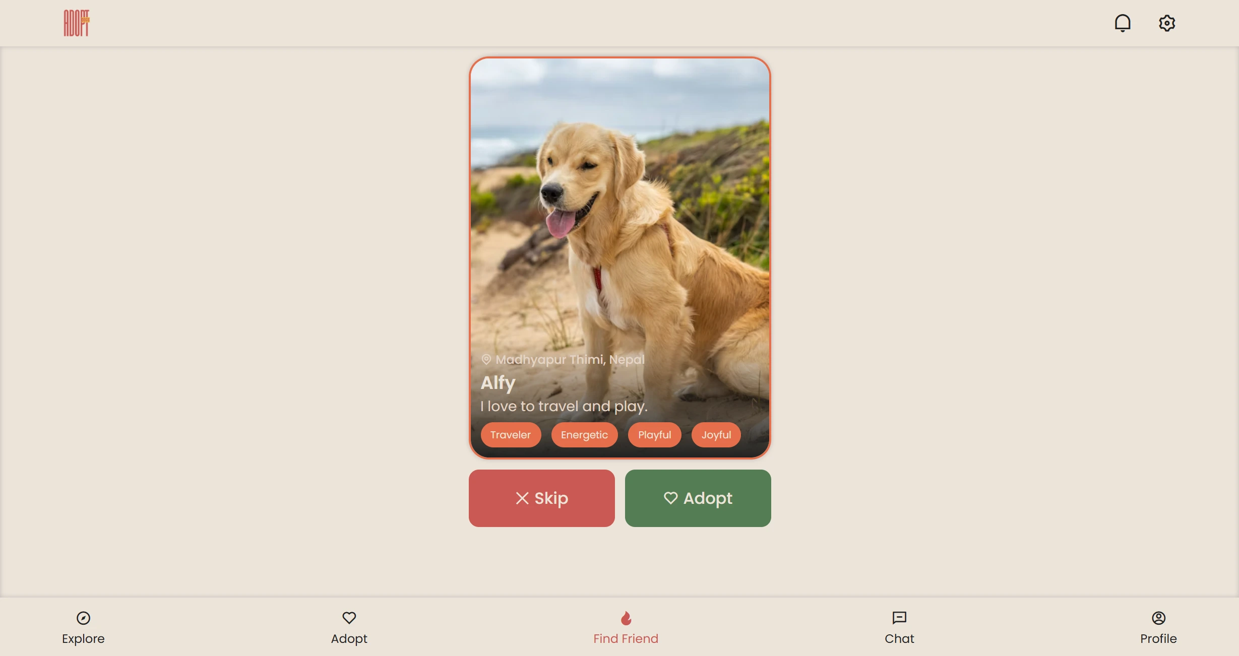 dogs adopt website